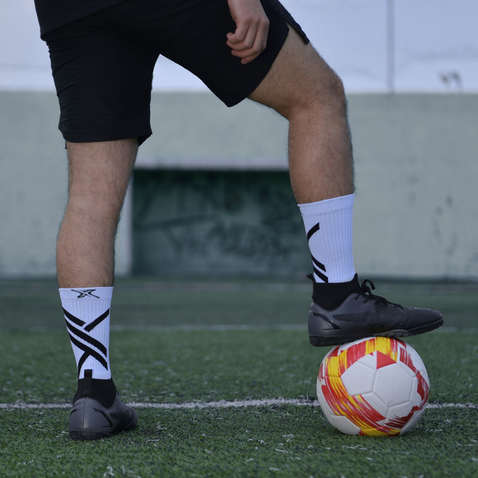 MOC SOX RAW