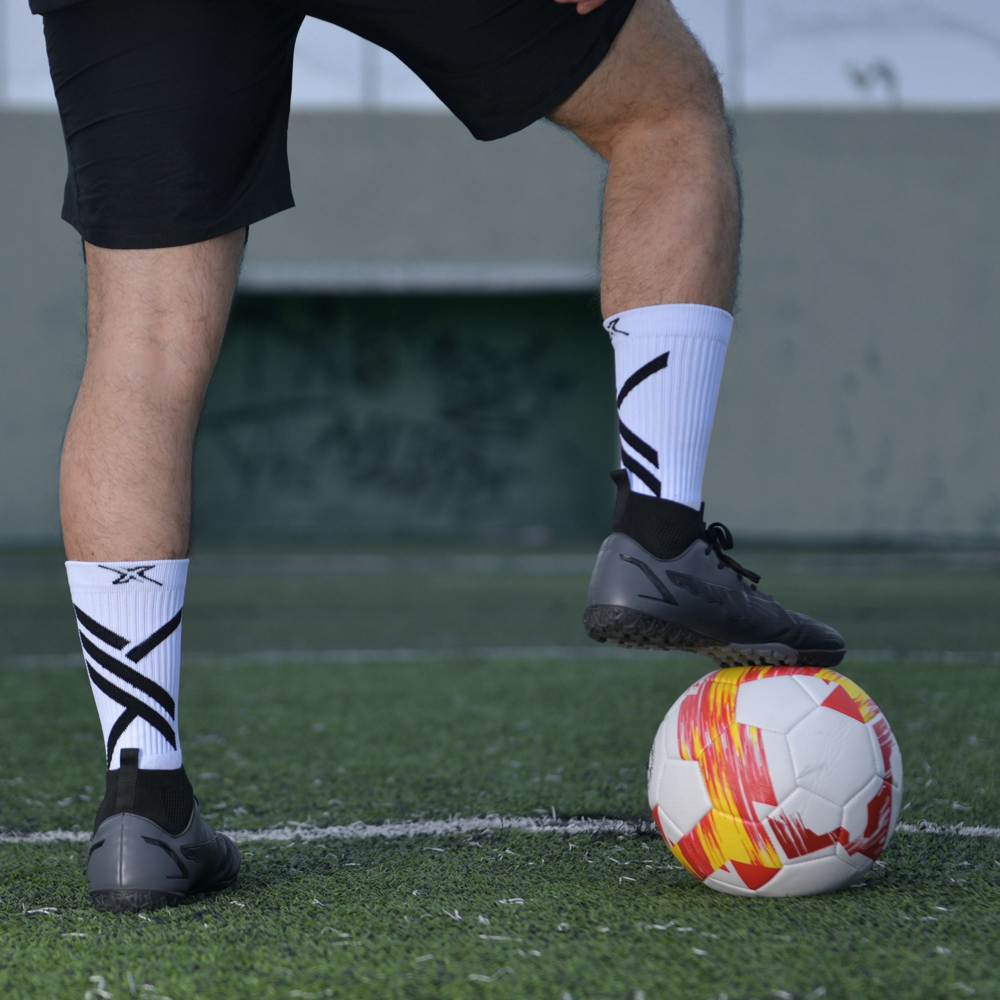 MOC SOX RAW