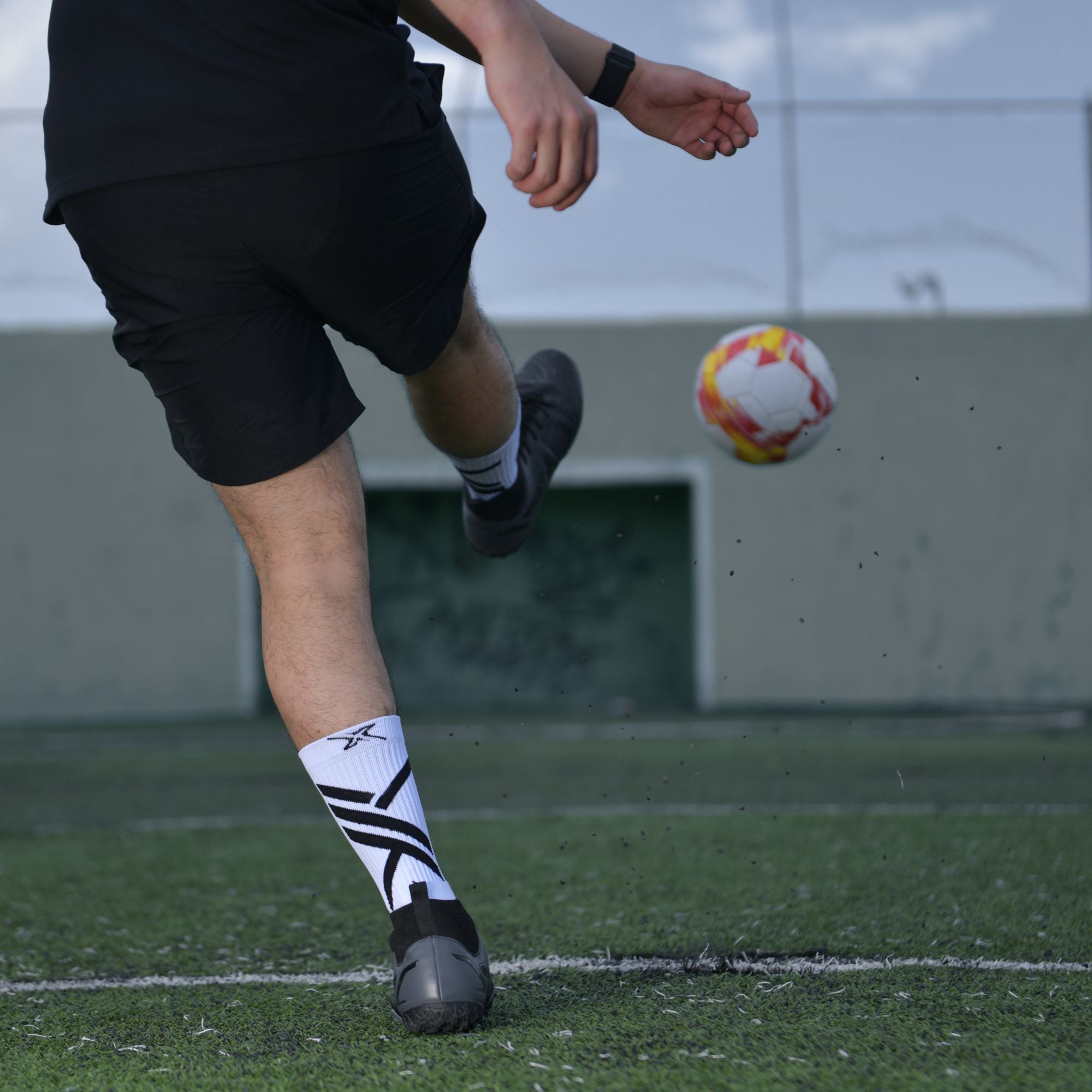 MOC SOX RAW